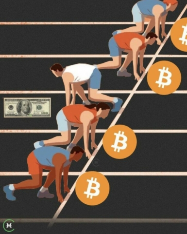 BTC v Fiat Race