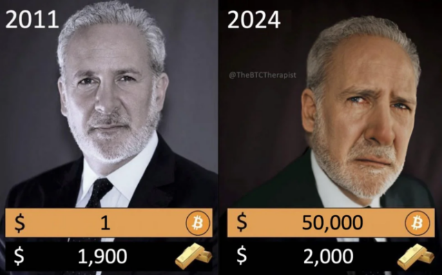 Bitcoin Price Peter Schiff 2011 vs 2024