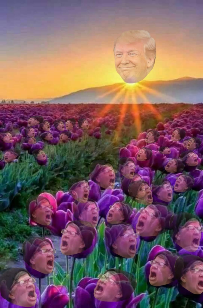 DJT Good Morning Reees