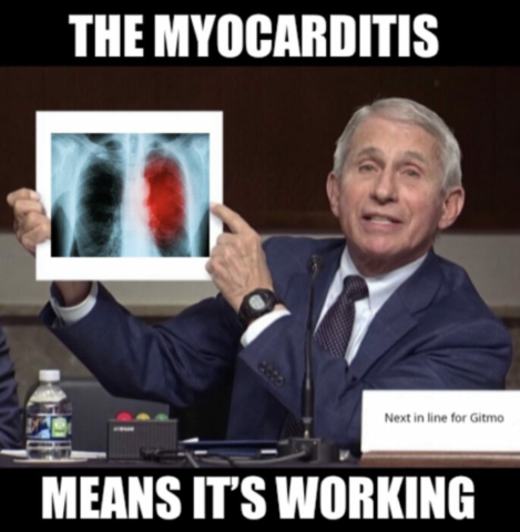 Fauci Myocarditis Means its Working