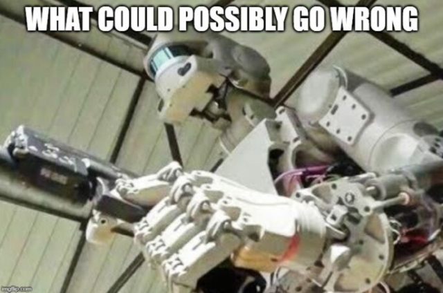 Fedor Robot - What Could Possibly Go Wrong