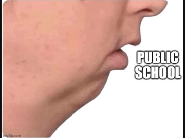 Normie Public School