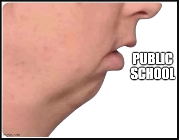 Normie Public School