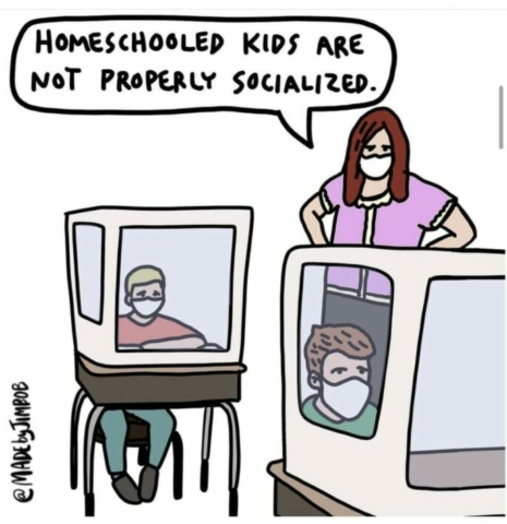 Homeschool Socialization