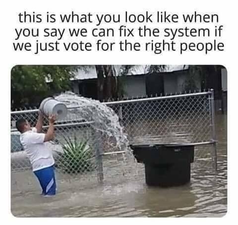 If We Just Vote for the Right People